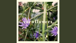 Download lagu Cornflower mp3