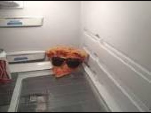 Crazy anivia jungle clear technique