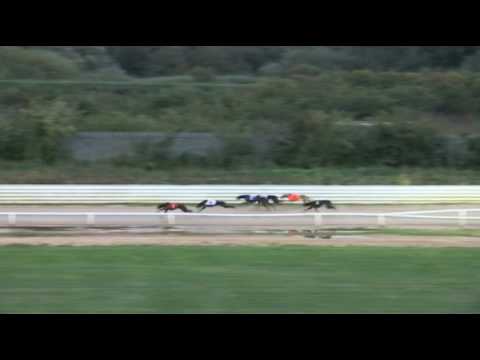 2017 WILLIAM HILL PETERBOROUGH DERBY - HEAT 1 - T1 DARK RECRUIT