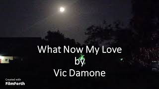 Vic Damone - What Now My Love