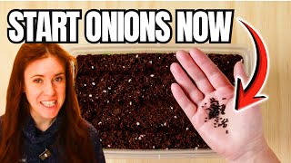 Seeds You Should Start in January (and Why Most Gardeners Get It Wrong)
