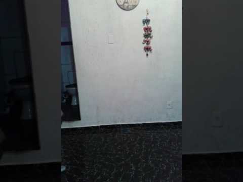 MC Wm e os  cretinos ( Vitinho do romano)