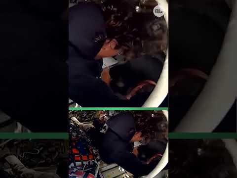 Artemis II snack goes viral. See Nutella jar in zero gravity.