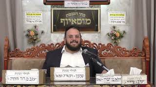 הרב אברהם מימון | נטילת ידיים על ידי רובוט | מוסאיוף (בית הכנסת מוסאיוף) - התמונה מוצגת ישירות מתוך אתר האינטרנט יוטיוב. זכויות היוצרים בתמונה שייכות ליוצרה. קישור קרדיט למקור התוכן נמצא בתוך דף הסרטון