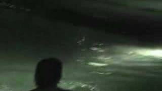 Flashlight Brown - Shopping Cart in Pool.