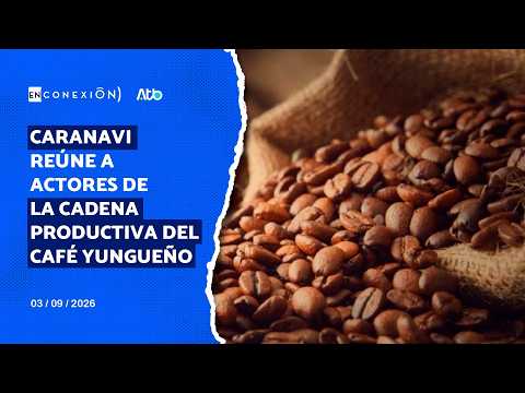 Caranavi reúne a actores de la cadena productiva del café yungueño