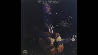 Willie Nelson - What A Wonderful World