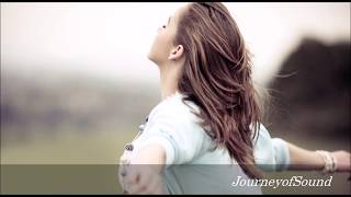 Animal Island - Gimme That Sunshine