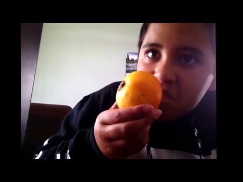 Maori vines. Only Maori will know