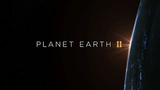 Planet Earth II Hans Zimmer Soundtrack 360° - BBC Earth