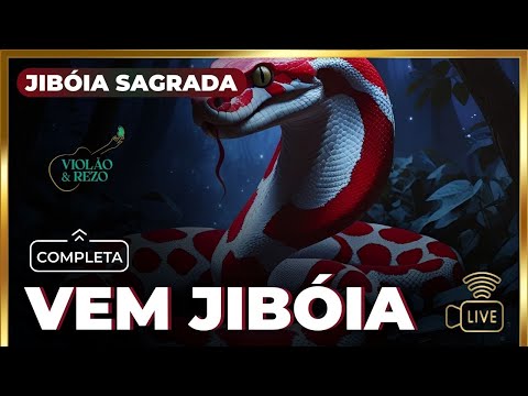 Vem Jiboia - Paulo Henrique
