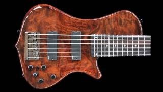 Exotic 6 Cordas | Mauricio Oliveira | Camphor Burl | EMG 45CS | Aguilar OBP3 | Eliezer Lara Guitars