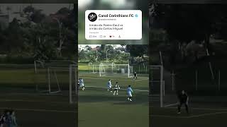Irmão do Pedro Raul vs irmão do Carlos Miguel