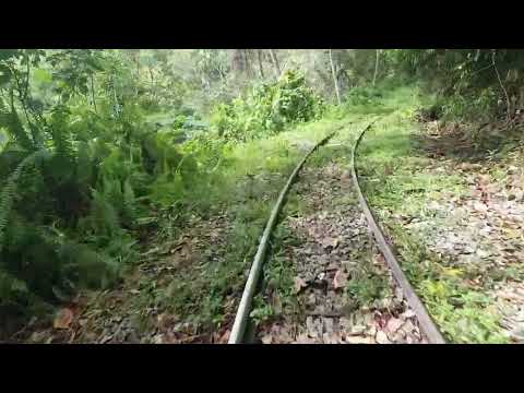 Trenes de Colombia - Recorrido Caracolí - Monos - Pavas en Motorodillo - Ferrocarril de Antrioquia