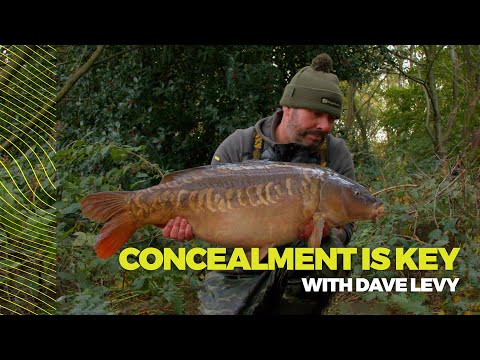 Concealment is KEY - Winter Carp Fishing Tips with Dave Levy