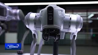 Unitree IPO: Is China's robot boom just beginning?