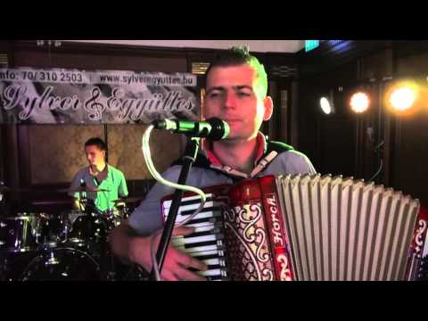 download lagu mp3 mp4 Sylver Egyttes, download lagu Sylver Egyttes gratis, unduh video klip Sylver Egyttes