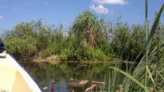 preview picture of video 'Delta du Danube | Sfantu Gheorghe | Vadu, détails d'une vacance'
