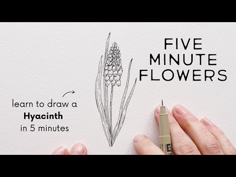 Five Minute Flowers | GRAPE HYACINTH (Muscari) ✿ How to Draw Flowers with Ink!