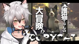 開幕 - 【COPY CAT】”本当の家”を見つけるため元保護猫が大冒険【猫瀬乃しん】