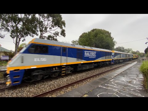 #EL56, #EL55, #EL52, #GM10 & #42103 leads D241S through Hawthorn & Belair