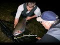 Video Thumbnail for 20+LB Rainbow Trout