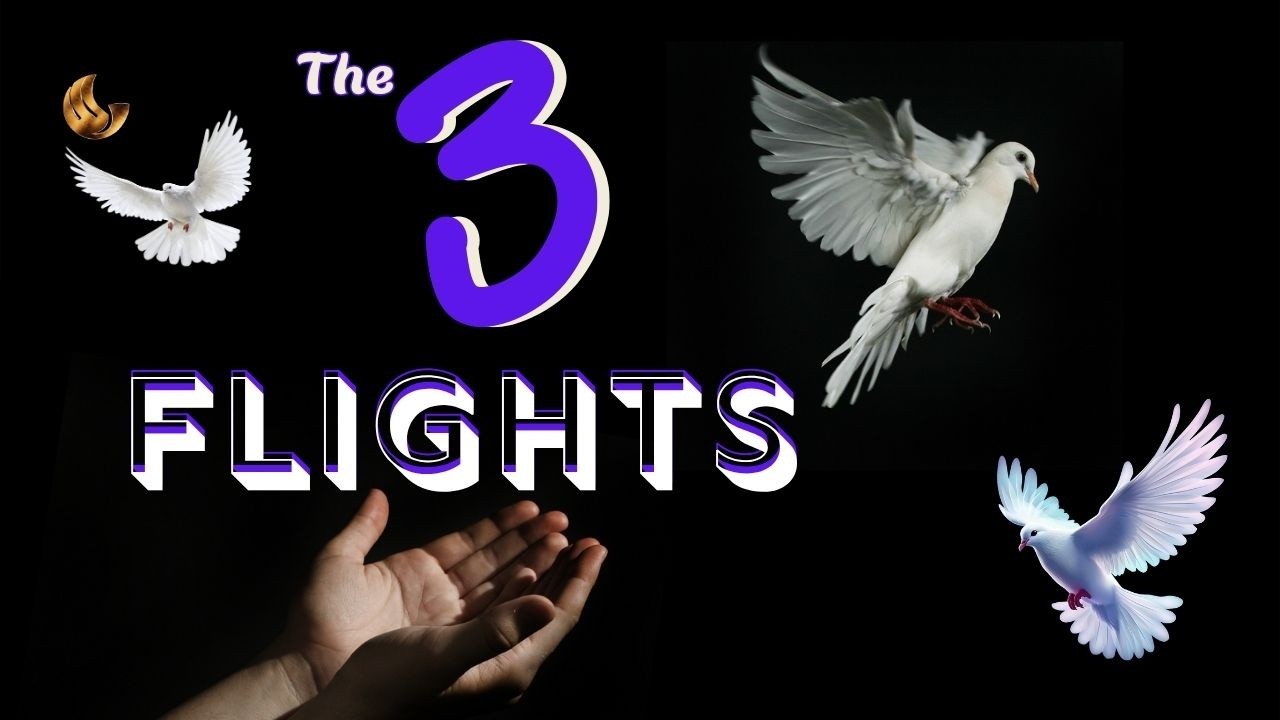 The 3 Flights of Noah's Dove: Parallels to the Gospel