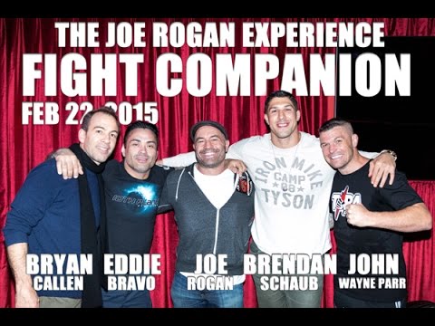 Joe Rogan Experience - Fight Companion - February 22, 2015