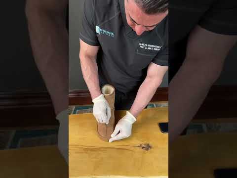 Surgical