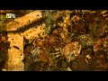 Ajanta Caves UNESCO TBS