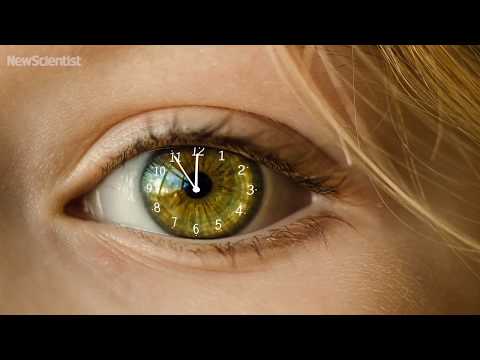 Chasing the sun: How light and dark shape our bodies and minds