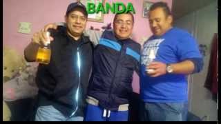 NOCHE Y DÍA - GATOS LOCOS