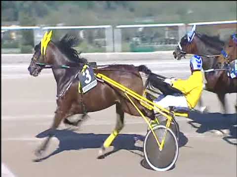 Trotto 06/04/2018 - 5ª corsa