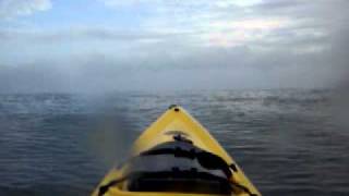 preview picture of video 'KAYAK PRADOMAR PUERTO COLOMBIA'