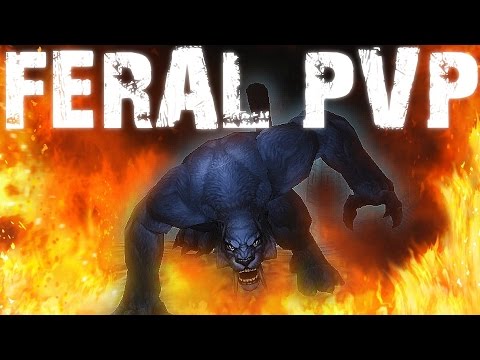 WoD 6.2.2 Feral Druid PvP