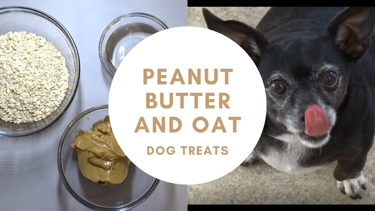 NO-BAKE PEANUT BUTTER AND OAT DOG TREATS - You can also use these as pill pockets!