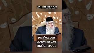 הגה״ח הרב ווכטר שליט״א | כבשה אחת בין שבעים זאבים (הרב אברהם מנחם מענדל וכטר) - התמונה מוצגת ישירות מתוך אתר האינטרנט יוטיוב. זכויות היוצרים בתמונה שייכות ליוצרה. קישור קרדיט למקור התוכן נמצא בתוך דף הסרטון