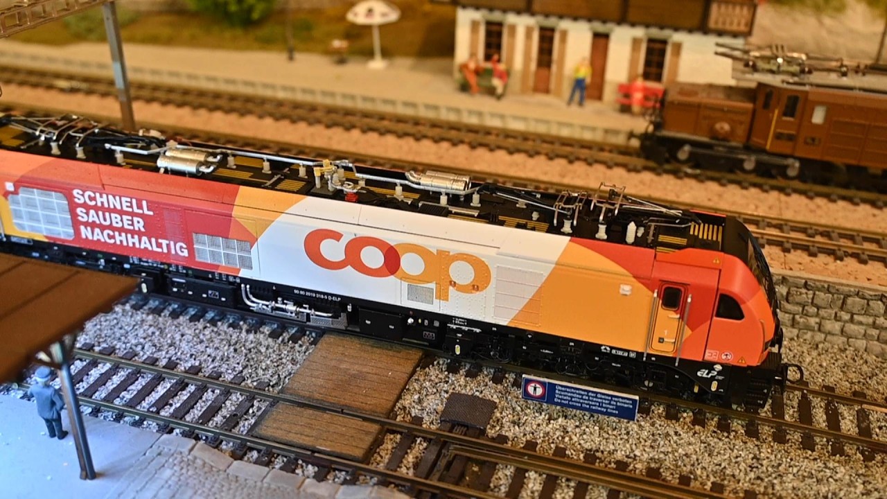 Euro Dual von Stadler mit Coop Containerzug