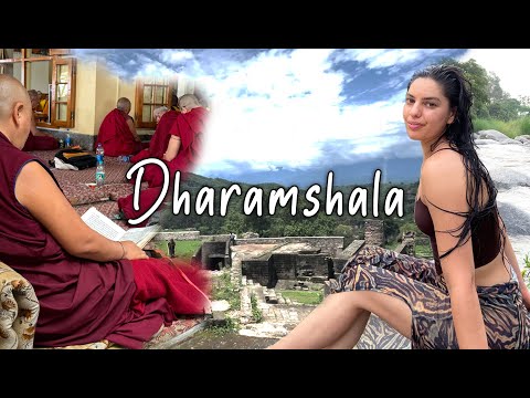 Himachal Pradesh, Indien im Himalaya: Dharamshala, McLeod Ganj, Kangra-Tal