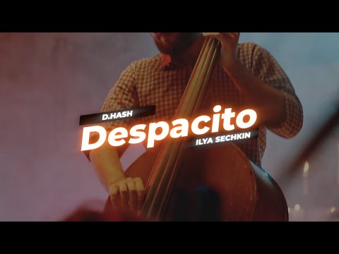 D.HASH x ILYA SECHKIN - Despacito