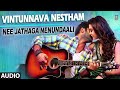 Vintunnava Nestham Song Ankit Tiwari Nee Jathaga Nenundaali Telugu Movie