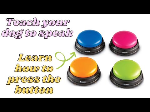 Teach your dog to "TALK" using buttons | First Step: TEACH DOG TO PRESS BUTTON
