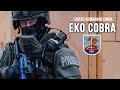 eko cobra austrian special police unit 1