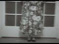 Tapes Excerpt William Wegman