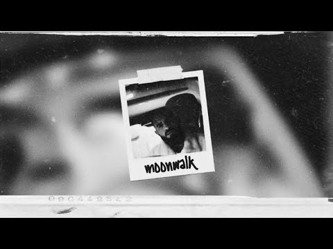 (FREE) shindy feat. bushido x ufo361 x fler - moonwalk type beat