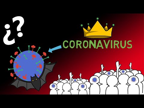 What is coronavirus and what symptoms does it cause?