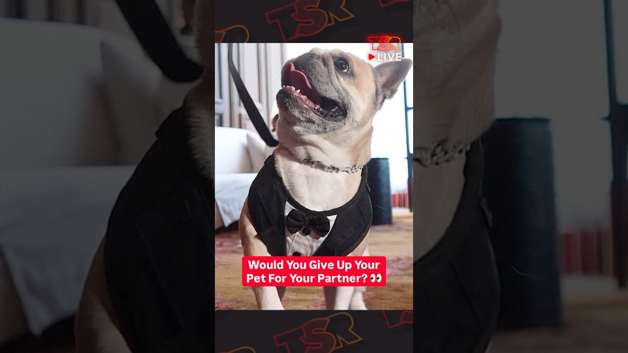 Would You Give Up Your Pet For Your Partner? 👀 #relationships #tsrlive #pets