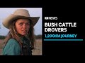 Outback drovers rise at dawn to move cattle in months-long journey | ABC News