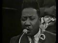 Muddy Waters & James Cotton "Got my Mojo working", 1966