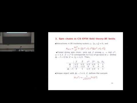 Horatiu S. Nastase - Probing holographic dualities through Penrose limits and dual spin chains